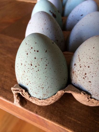 Wooden Eggs Crafts, Diy Dishwasher Tablets, Homemade Fabric Softener, Naturally Dyed Easter Eggs, Mercury Glass Diy, Cedar Hill Farmhouse, Easy Fall Wreaths, Easter Stuff, Speckled Eggs