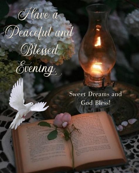 Blessed Evening Quotes, Blessed Evening, Good Evening Quotes, Quotes Blessed, Good Night Pictures, Have A Blessed Night, Thursday Pictures, Good Night To You, Good Evening Messages