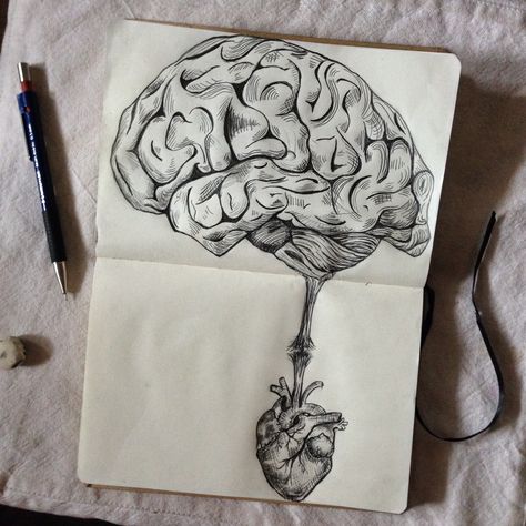 Brain Pencil Drawing, Anatomical Heart Art Unique, Heart Vs Mind, Heart Vs Brain, Skull Sleeve, Skull Sleeve Tattoos, Vedic Art, Anatomical Heart, Unique Drawings