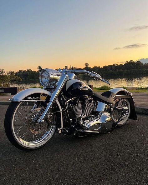 Your daily dose of the best Harley Davidson Softail photos Hd 883 Iron, Harley Softail Custom, Hd Fatboy, Harley Softail Deluxe, Softail Bobber, Harley Davidson Pictures, Sportster Bobber, Custom Motorcycles Harley, Harley Davidson Softail