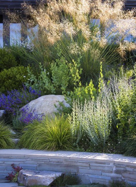 Sneak Peek: Garden Design Magazine's Wild Gardens - Gardenista House Garden Design, California Landscaping, Gardening Tattoo, Gardener Aesthetic, Vertical Garden Plants, Garden Nails, Gardening Aesthetic, Greenery Wall, Garden Tattoo