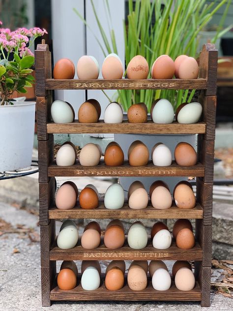 Farm fresh eggs safe on this cute display until you're ready to use them! Egg Stand, Farm Eggs, Egg Box, Pet Ideas, Egg Storage, Farm Fresh Eggs, Raising Chickens, Fresh Eggs, Farm Fresh