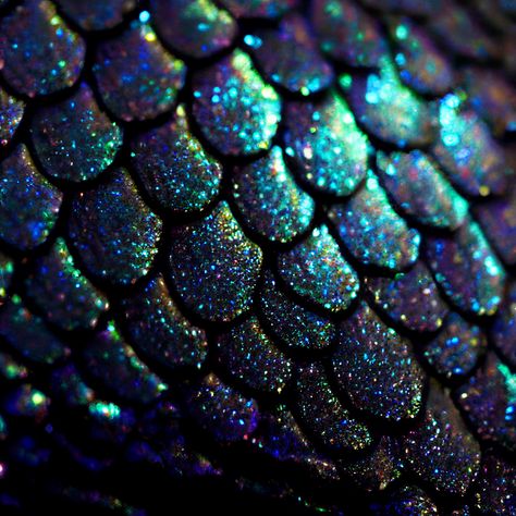 Teal Fairy Aesthetic, Black Mermaid Tail Art, Blue Scales Aesthetic, Dark Iridescent Aesthetic, Scales Aesthetic, Merman Aesthetic, Black Mermaid Tail, Siren Scales, Iridescent Scales