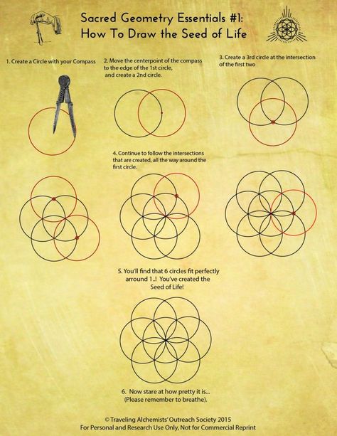 Draw Sacred Geometry, How To Draw Sacred Geometry, Scared Geometry, The Seed Of Life, Sacred Geometry Patterns, Sacred Geometry Symbols, Sacred Geometric, Sacred Geometry Art, Geometric Drawing