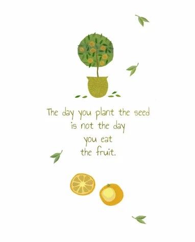 Orange Fruit Quotes, Fruit Quotes, Orange Quotes, Food Illustration Art, Fruit Wallpaper, Love Anniversary Quotes, Inspiration Quote, Motivation Quote, Journal Quotes