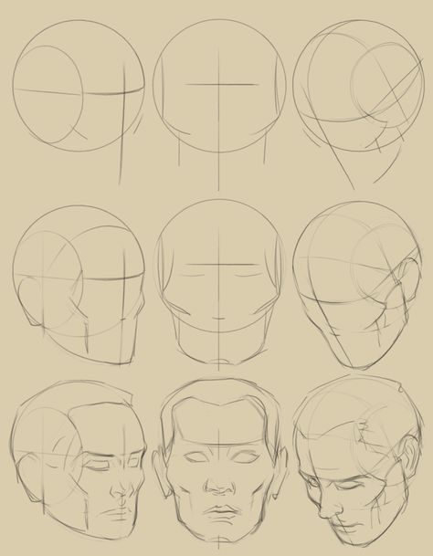 Head Anatomy, Face Proportions, 얼굴 드로잉, Drawing Tutorial Face, 얼굴 그리기, Drawing Heads, Human Anatomy Art, Anatomy Sketches, Drawing Studies