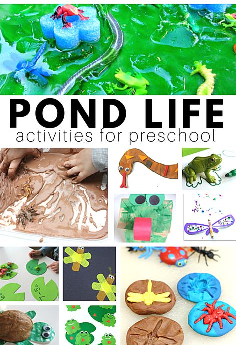 Pond Life Preschool Crafts, Pond Life Preschool, Pond Preschool, Pond Activities, Activities For Daycare, Pond Life Theme, Frogs Preschool, Pond Crafts, Preschool Crafts Activities