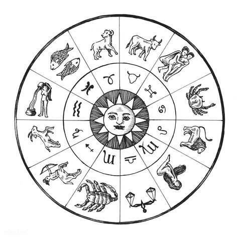 Astrology chart vintage style illustration | free image by rawpixel.com Zodiac Circle, Astrology Tattoo, Zodiac Meanings, Horoscope Tattoos, Zodiac Wheel, Zodiac Calendar, Astrological Symbols, Free Illustration Images, Astrology And Horoscopes