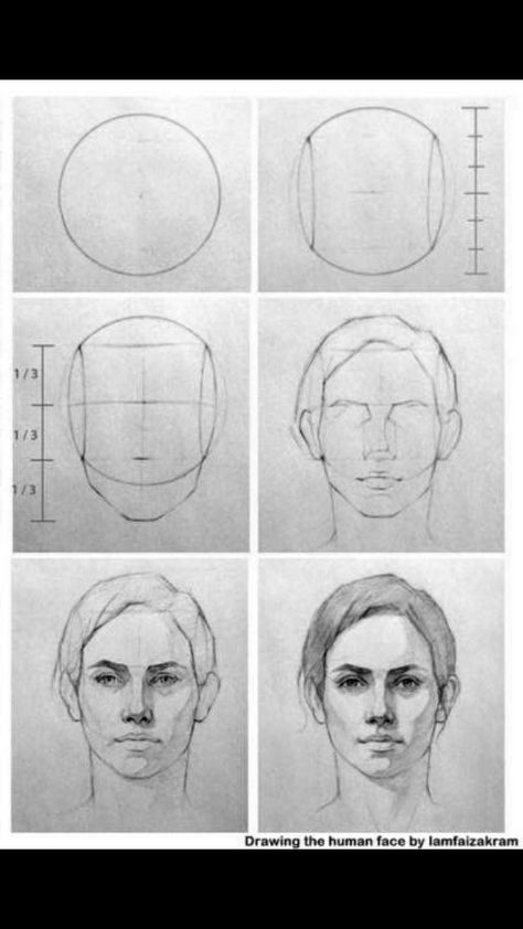 Anatomy Sketches Face, Realistic Head Drawing Reference, Portrait Loomis Method, Realistic Head Drawing, Face Proportions Drawing Step By Step, Face Ratio Drawing, Loomis Portrait, Front Face Sketch, Simple Portrait Drawing