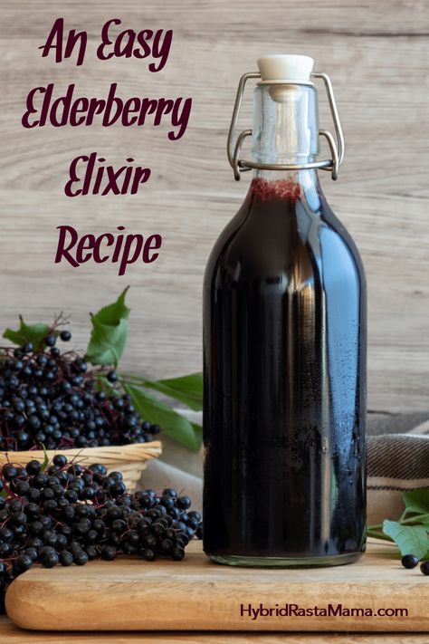 Dried Elderberry Tincture Recipe, Elderberry Brandy Recipe, Elderberry Wine Recipe, Elderberry Elixir Recipe, Elixers Herbal, Elderberry Elixir, Elixir Recipe, Elderberry Wine, Elderberry Extract