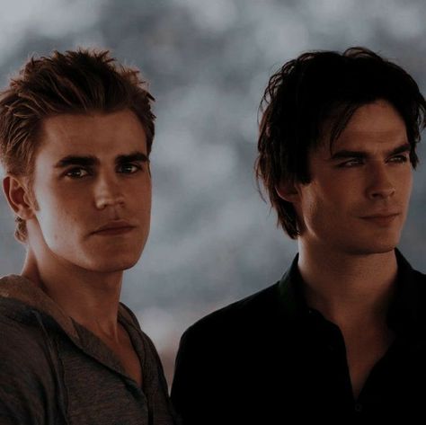 Damon And Stefan Aesthetic, Salvatore Brothers Aesthetic, Paul Vampire Diaries, Stefan And Damon, Damon Stefan, Damon And Stefan Salvatore, The Salvatore Brothers, The Vampire Diaries Characters, Salvatore Brothers