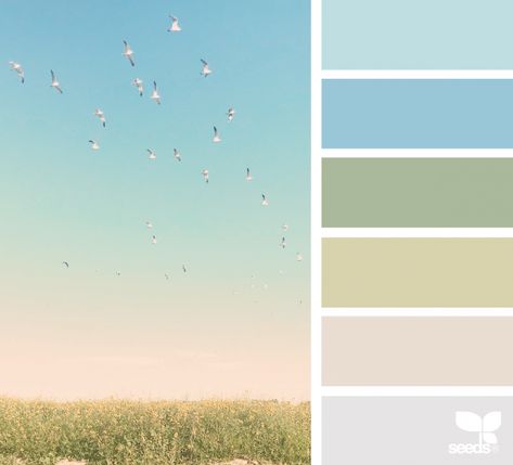 Color Flock Seeds Color, Decor Color Schemes, Color Palette Challenge, Hue Color, Morning Dew, Massage Room, Design Seeds, Room Redo, Color Palette Design