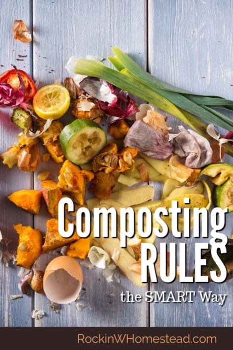 Composting Kitchen Scraps, Small Kitchen Compost Bin, Kitchen Compost Bin Ideas, Homestead 101, Composting Tips, Small Compost Bin, Homestead Family, Outdoor Compost Bin, Composting Food Scraps