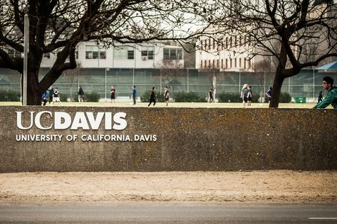 UC Davis cuts graduation short amid scorching heat Davis California, Uc Davis, After 3, 3 People, University Of California, University, California