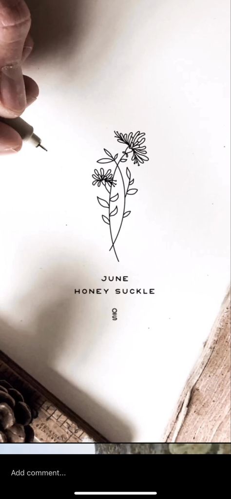 Honeysuckle Line Tattoo, Fine Line Hawthorn Tattoo, Dainty Honeysuckle Tattoo, June Honeysuckle Tattoo, Fine Line Honeysuckle Tattoo, Honeysuckle Outline, Honeysuckle Tattoo Small, Honey Suckle Tattoo Simple, Honey Suckle Flowers Tattoo