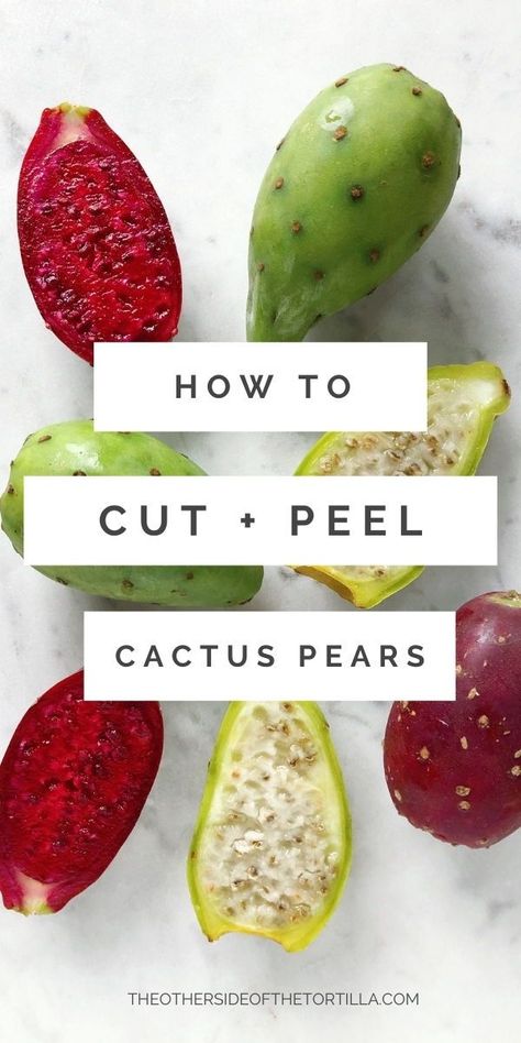 Cactus Fruit Recipe, Cactus Recipes, Cactus Fruit, Prickly Pear Cactus Pad Recipes, Cactus Paddle Recipe, Cactus Pear Recipe, Prickly Pear Cactus Recipes, Prickly Pear Fruit Recipes, Cactus Pear