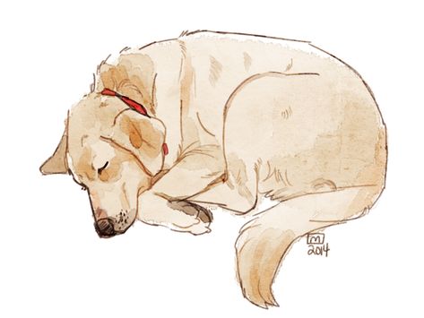 Tiny Dog Drawing, Labrador Illustration Cartoon, Labrador Illustration, Sleeping Drawing, Cute Dog Drawing, Labrador Art, Sketch Note, Dog Sketch, 강아지 그림