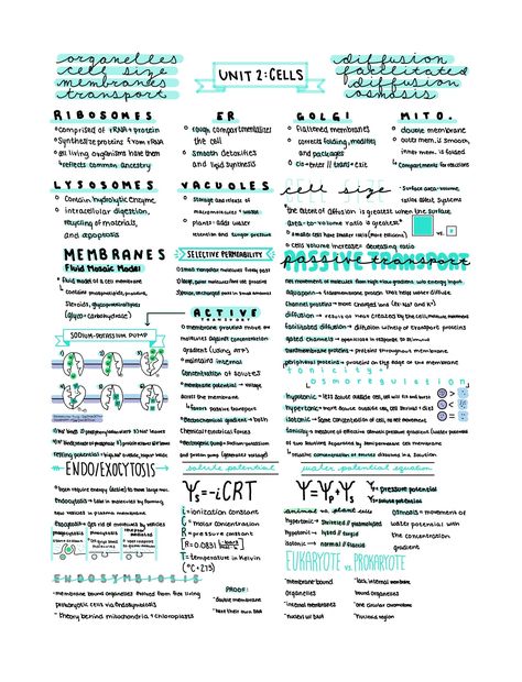 Ap Biology Unit 1 Notes, Abc Of Biology, Ap Biology Notes High Schools, Ap Bio Unit 2 Notes, Biomedical Science Notes, Ap Bio Unit 1, Ap Biology Notes Aesthetic, Ap Bio Notes, Ap Biology Notes