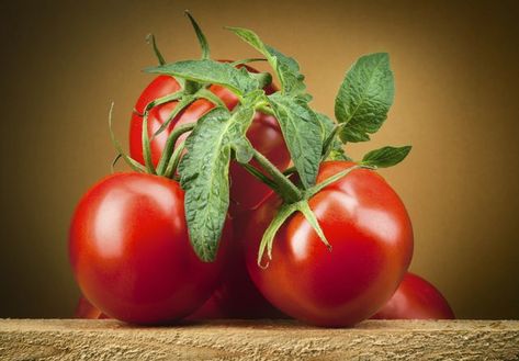 Organic tomato. Branch with leaves Tomato Ideas, Survival Projects, Gardening Tomatoes, Tomato Gardening, Best Tasting Tomatoes, Tomato Pruning, Tomato Fertilizer, Tomato Varieties, Growing Organic Tomatoes