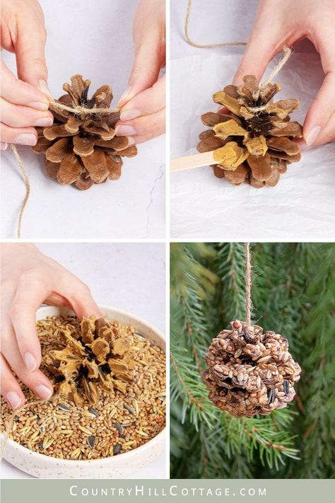 See how to make pinecone bird feeders! DIY pine cone bird feeders are a fun activity for all ages and help get your feathery friends well through winter. This easy tutorial shows how to make bird feeders with and without peanut butter and shares tips for hanging the pinecones safely. Peanut free alternatives are Crisco, suet, lard, vegetable shortening, or honey. This pinecone craft is an easy project for kids and preschool and makes a great homemade Christmas gift. | CountryHillCottage.com Diy Bird Seed Ornaments, Pinecone Bird Feeder, Diy Bird Seed, Bird Seed Crafts, Bird Feeders For Kids To Make, Seed Ornaments, Pine Cone Bird Feeder, Make A Bird Feeder, Pinecone Crafts Kids