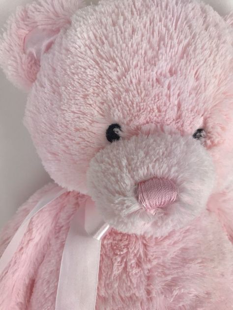 Pink Aesthetic Teddy Bear, Pink Teddy Bear Aesthetic, Teddy Bear Pink, Pink Bear, Pink Teddy Bear Wallpaper, Pink Stuffed Animals, Teddy Bears For Sale, Big Teddy Bear, Teddy Bear Wallpaper