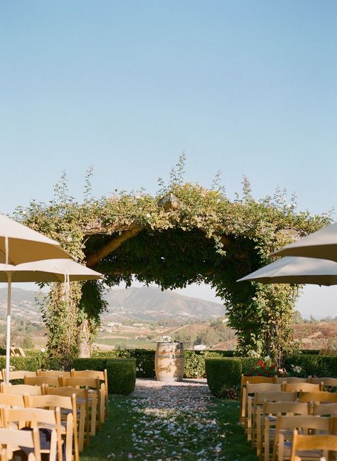 South Coast Winery South Coast Winery, Temecula Wedding Venues, Temecula Wineries, Virginia Wineries, Beautiful Beach Wedding, Wedding Court, Winery Wedding, Wedding Officiant, Ideal Wedding