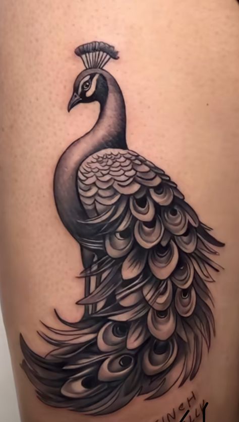 Black And Grey Peacock Tattoo, Peacock Tattoo Designs For Women, More Pankh Tattoo, Peacock Tattoo Men, Peacock Tattoo Black And White, Bapu Tattoo, Punjab Tattoo, Mor Pankh Tattoo, Peacock Tattoo Design