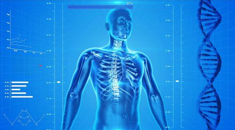 The Blockchain for Healthcare: Gem Launches Gem Health Network With Philips Blockchain Lab | Bitcoin Magazine Human Body Facts, Endocannabinoid System, Bone Density, Bone Health, Chiropractic, Intermittent Fasting, Vitamin D, Newcastle, Immune System