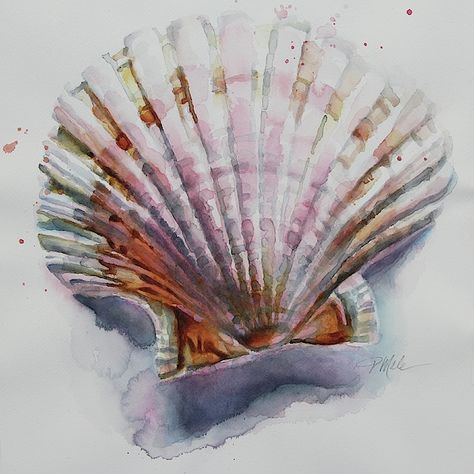 Scallop Illustration, Sea Shell Drawing, Shell Paintings, Shell Artwork, Shell Drawing, Scallop Seashell, Seashell Painting, Watercolor Ocean, Beach Watercolor