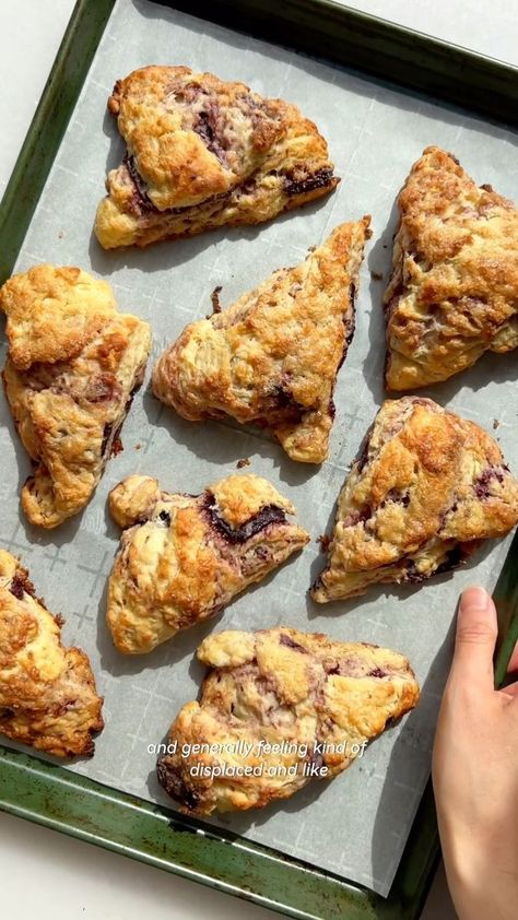 Justine Doiron on Reels | justine_snacks · Original audio Fig Scones, Justine Doiron, Fig Season, Blueberry Cookies, Roasted Fennel, Brussel Sprout Salad, Chocolate Cinnamon, Brunch Ideas, Banana Flavored