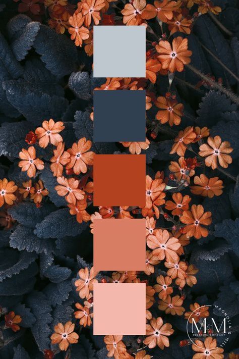 Fall Color Pallet, Jewel Tone Color Palette, Fall Color Schemes, Timeless Color Palette, Thanksgiving Color, Color Design Inspiration, Orange Color Palettes, Color Palette Challenge, Color Schemes Colour Palettes