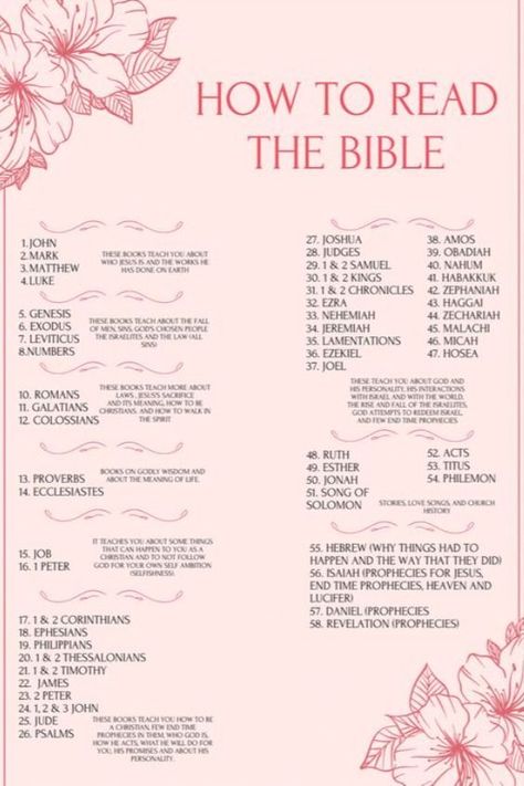 how to read bible, reading bible plan, aesthetic bible How To Read Bible Daily, Reading The Bible For Beginners Plan, Bible Verse Daily Devotion, Bible Reading Plan In Order, Bible Reading Order For Beginners, Bible Study Year Plan, June Bible Reading Plan 2024, Order To Read Bible, Bible Reading Order