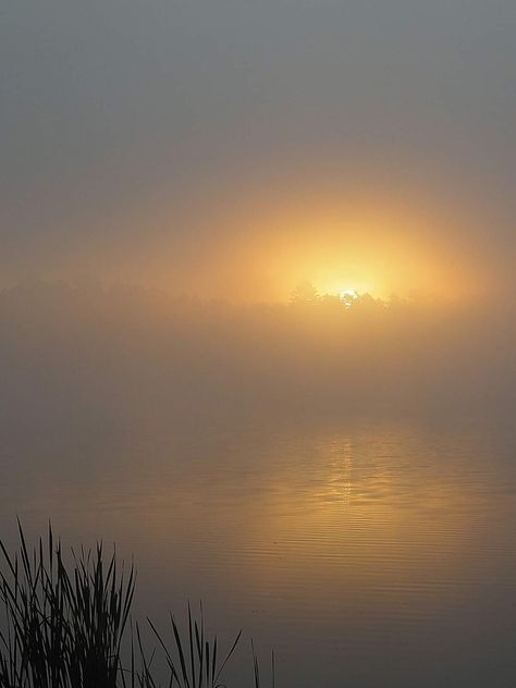 Nature, Sun Beaming Through Fog, Fog Sunrise, Sunrise River, Eagle River Wisconsin, Fishing Painting, Foggy Sunrise, Photos Landscape, Images Of Sun