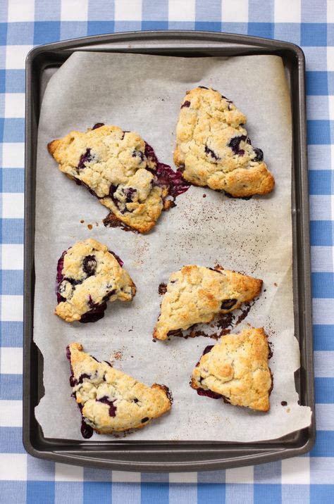 blueberry scones with maple glaze. {willow bird baking} Blueberry Scones, Maple Glaze, Sweet Breads, Scone Recipe, Breakfast Breads, Sweet Breakfast, Best Breakfast, Sans Gluten, Scones