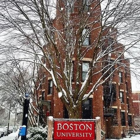 Boston University Campus Aesthetic, Boston University Aesthetic, Boston Quotes, Boston University Campus, Masters In Education, Boston Wallpaper, Boston Aesthetic, Boston Winter, Future Board