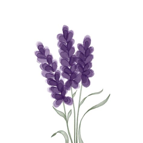 Lavender Aesthetic Drawing, Lavender Icons Aesthetic, Widgets Lavender, Cute Purple Widgets, Lavender Flowers Aesthetic, Lavender Aesthetic Flower, Lavender Flower Drawing, Purple Flowers Drawing, Lavender Cartoon