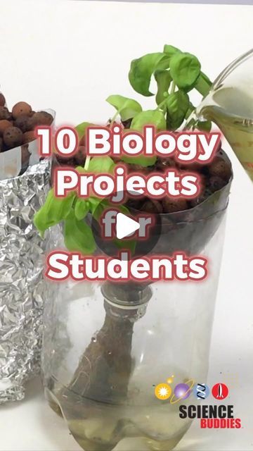 Science Buddies on Instagram: "Interested in biology? Here are some science projects students can do for school or the #sciencefair:  1. Strawberry DNA: https://sbgo.org/biology-strawberry-dna 2. Painting with genetically modified bacteria: https://sbgo.org/biology-paintbacteria (activity); related project: https://sbgo.org/biology-bacteria-transformation-ig 3. Measure photosynthesis with floating leaves: https://sbgo.org/biology-floatingleaves-ig  4. Grow plants in microgravity with an Arduino clinostat: https://sbgo.org/biology-clinostat-ig 5. Turn mud into energy with a microbial fuel cell: https://sbgo.org/biology-fuelcell-ig 6. Hydroponics - gardening without soil:  https://sbgo.org/biology-hydroponics-ig 7. Make bricks with mushroom roots: https://sbgo.org/biology-mushroombricks-ig 8 Science Activity For High School, Bacteria Science Experiment, Best Science Projects High School, Biology Research Topics, Biology Stem Activities, Biology Diagrams Ideas, Science Plant Activities, Biology Investigatory Project Class 12, Cell Projects Middle School