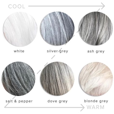 Grey Hair Colour Chart, Pelo Color Ceniza, Shades Of Gray Hair, Ash Grey Hair, Grey Hair Color Silver, Grey Hair Transformation, Grey Hair Dye, Grey Hair Inspiration, Colour Analysis