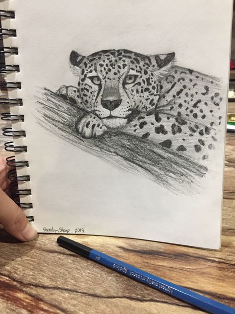 Jaguar pencil sketch drawing Cheetah Sketch Pencil, Leopard Sketch Pencil Drawings, Drawing Animals Realistic, Jaguar Animal Drawing, Jaguar Drawing Sketches, Zebra Drawing Sketches, Leopard Drawing Sketch, Big Cat Sketch, Cheetah Drawing Sketches