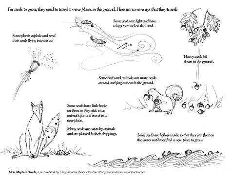 Seeds Activities, How Plants Grow, Plants Worksheets, Handwriting Worksheets For Kids, Scientific Drawing, Homework Worksheets, Seed Dispersal, Pollinator Plants, Teaching Resources Primary