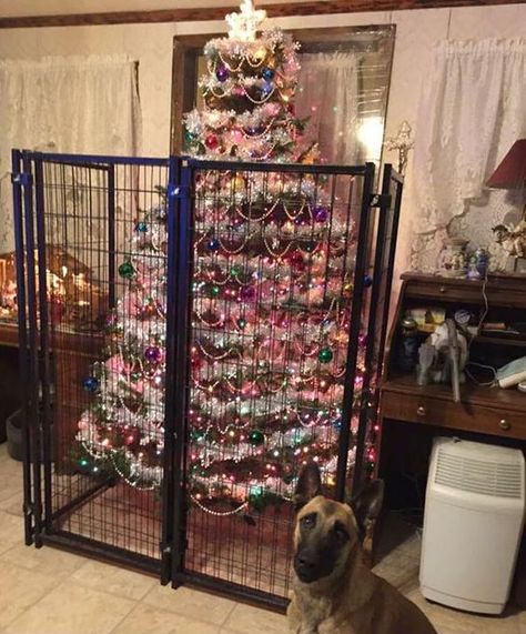 Christmas Pets, Funny Christmas Pictures, Ellie Mae, Cat Proofing, Christmas Memes, Christmas Post, Animal Pics, Funny Animal Memes, Funny Animal Pictures