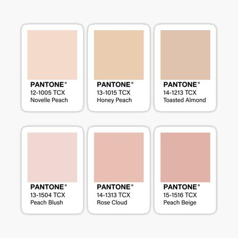 A peachy pink pack of Pantones! (say that three times fast) • Millions of unique designs by independent artists. Find your thing. Aestethic Color Palette, Champagne Palette, Pink Pantone, Nude Color Palette, Color Stickers, Pantone Palette, Hex Color Palette, Color Pallete, Graphic Ideas