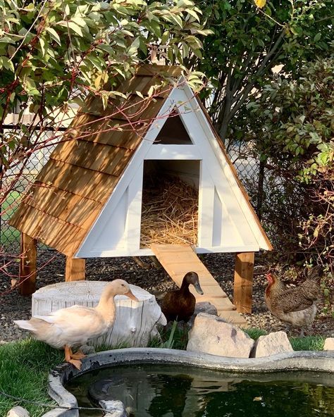 Modern Duck Coop, Duck Habitat Diy, Duck Coop Ideas Diy Cheap, Duck Shelter For Winter, Goose Coop Diy, Duck Ideas Diy, Duck Coop Winter, Winter Duck House, Chicken Coop Exterior Ideas