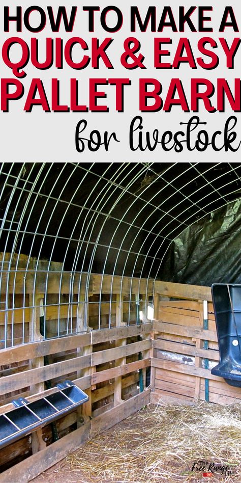 Easy Livestock Shelter, Homemade Goat Shelter, Livestock Dog Shelter, Pallet Animal Pen, Diy Animal Shelter Ideas, Quick Horse Shelter, Pallet Goat Barn, Horse Shelter Pallets, Shelter For Deer