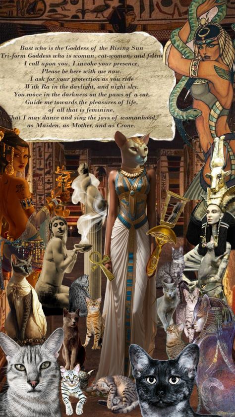 This is an invocation to #bastet the #goddess of the #cat #protection and of the home. Bast Goddess, Cat Protection, Bastet Goddess, Egyptian Cat Goddess, Ancient Egyptian Goddess, Egyptian Cat, Ancient Egyptian Gods, Ancient Egyptian Art, Egyptian Goddess