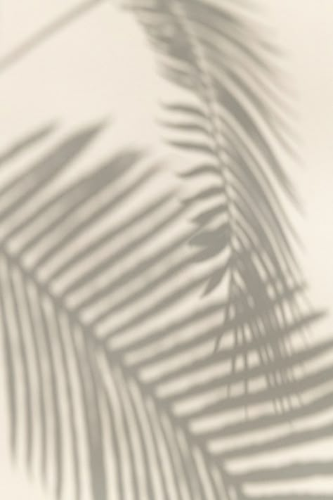 Plakat Design Inspiration, Palm Leaf Design, Fotografi Vintage, Leaves Design, 背景 シンプル, Minimalist Wallpaper, Leaf Nature, Beige Aesthetic, Iphone Background Wallpaper