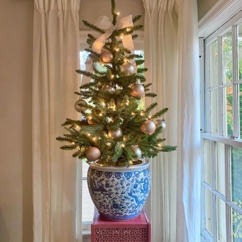 Small Christmas Tree In Planter, Christmas Tree In Chinoiserie Pot, Christmas Tree In Blue And White Pot, Ginger Jar Christmas Decor, Ginger Jar Christmas Tree, Christmas Tree In Pot Planters, Blue And White Christmas Tree Decor, Table Top Christmas Tree Ideas, Christmas Tree In Planter