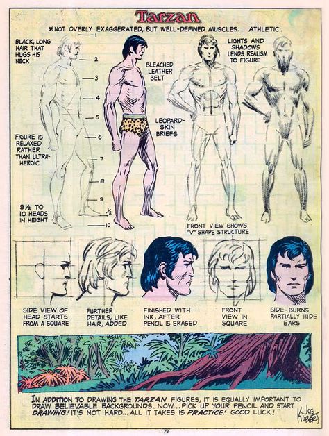 Joe Kubert Proportions Art, Living In The Jungle, Joe Kubert, Draw Comics, Drawing Superheroes, Comic Tutorial, Model Sheet, Old Comics, Comic Drawing