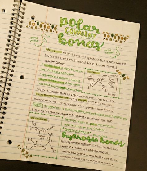 𝚂𝚌𝚒𝚎𝚗𝚌𝚎 𝚗𝚘𝚝𝚎𝚜 𝚒𝚗𝚜𝚙𝚒𝚛𝚊𝚝𝚒𝚘𝚗 🌵🌿🌴🌳🌲☘️🍃💫💫💫 #notes #aesthetic #studyinspiration #chemistry #ideas College Chemistry Notes, Science Project Aesthetic, Notes Ideas Chemistry, Chemistry Practical Notes, Chemical Bonding Notes Aesthetic, Chemistry Study Notes Aesthetic, Science Journal Ideas Aesthetic, Chem Notes Aesthetic, Chemistry Notes Ideas