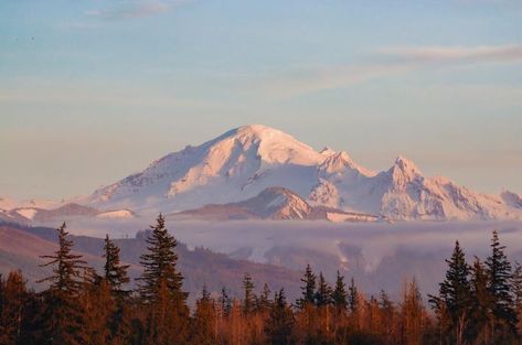 #Seattle Must See - #mountbaker 🏔 🗻⛰#Washington, the most beautiful state in the Pacific Northwest. 🌲#pnw #pnwtravel #WashingtonState #emeraldcity #mountains #travel 🛫 #tourism #travelseattle #mountains #caacades #cascademountains #olympicmountains Pacific Northwest Wallpaper, Pnw Painting, Washington Wallpaper, Pacific Northwest Aesthetic, Northwest Aesthetic, Pnw Mountains, Incense Collection, Washington Mountains, Flowers Sunset